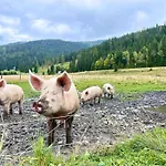 Claras Bergzeit Apartment