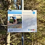 Claras Bergzeit Flattnitz