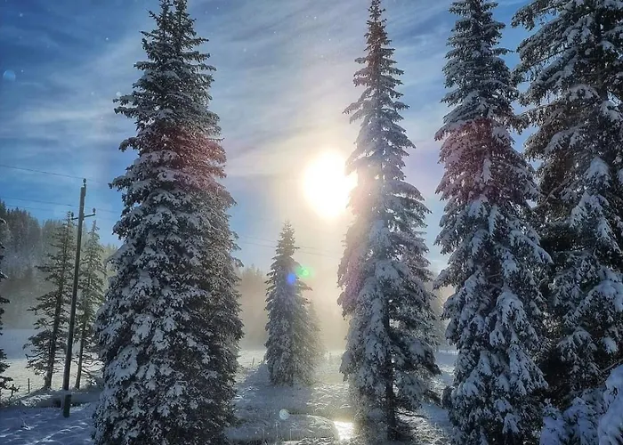 Claras Bergzeit * Flattnitz