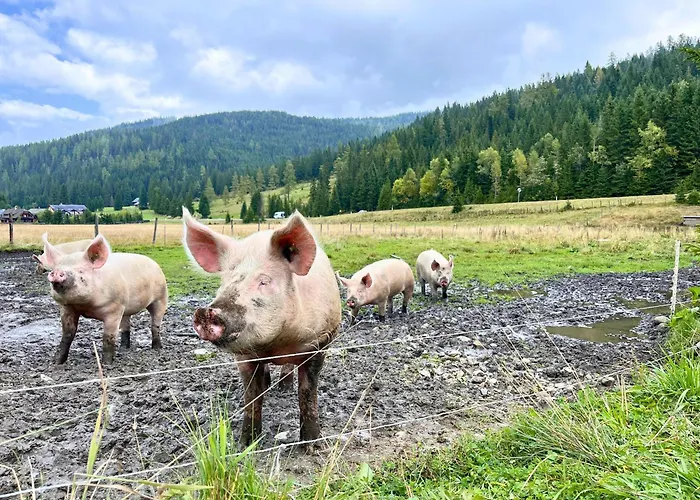 Claras Bergzeit 公寓